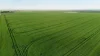 'Illamatta' 946 Barunga East Road, Burnsfield, SA 5520-Image