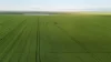 'Illamatta' 946 Barunga East Road, Burnsfield, SA 5520-Image