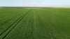 'Illamatta' 946 Barunga East Road, Burnsfield, SA 5520-Image