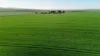 'Illamatta' 946 Barunga East Road, Burnsfield, SA 5520-Image