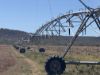 , Innot Hot Springs QLD 4872-Image