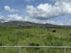 , Innot Hot Springs QLD 4872-Image