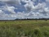 , Innot Hot Springs QLD 4872-Image