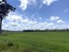 , Innot Hot Springs QLD 4872-Image