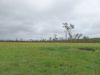 , Innot Hot Springs QLD 4872-Image