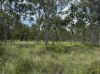 , Innot Hot Springs QLD 4872-Image