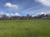 , Innot Hot Springs QLD 4872-Image