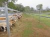 , Innot Hot Springs QLD 4872-Image