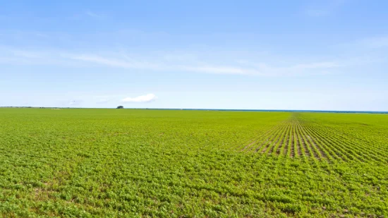 'JP's' Allotment 58 Spencer Highway, Koolywurtie, SA 5575