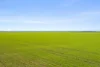 'JP's' Allotment 58 Spencer Highway, Koolywurtie, SA 5575-Image