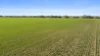'JP's' Allotment 58 Spencer Highway, Koolywurtie, SA 5575-Image