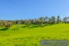 Known As Lot 1149 Campbells Road, Bridgetown, WA 6255-Image