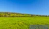 Known As Lot 1149 Campbells Road, Bridgetown, WA 6255-Image