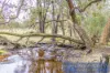 Known As Lot 1435 Wilga Road, Wilga, WA 6243-Image