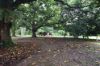 , Lannercost QLD 4850-Image