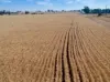'Leske Farm' Thiele Highway, Freeling SA 5372-Image