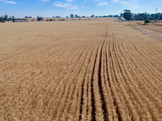 'Leske Farm' Thiele Highway, Freeling SA 5372-Image