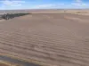 'Leske Farm' Thiele Highway, Freeling SA 5372-Image