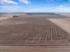 'Leske Farm' Thiele Highway, Freeling SA 5372-Image