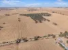 'Leske Farm' Thiele Highway, Freeling SA 5372-Image