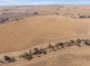 'Leske Farm' Thiele Highway, Freeling SA 5372-Image