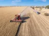 'Leske Farm' Thiele Highway, Freeling SA 5372-Image