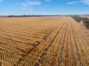 'Leske Farm' Thiele Highway, Freeling SA 5372-Image