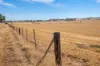 'Leske Farm' Thiele Highway, Freeling SA 5372-Image
