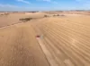 'Leske Farm' Thiele Highway, Freeling SA 5372-Image