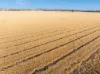 'Leske Farm' Thiele Highway, Freeling SA 5372-Image