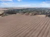 'Leske Farm' Thiele Highway, Freeling SA 5372-Image