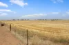 'Leske Farm' Thiele Highway, Freeling SA 5372-Image