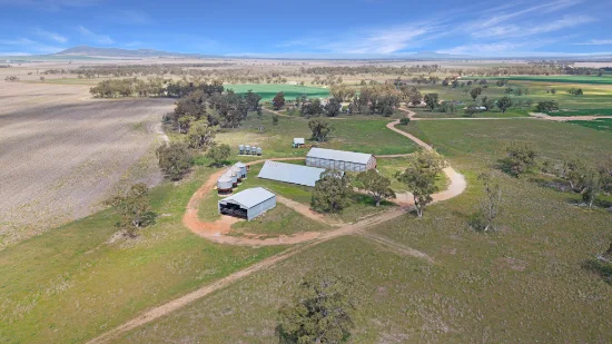 Lignum Aggregation 1822 Howes Hill Road, Spring Ridge, NSW 2343