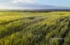 Lot 1 Marchagee Track, Boothendarra, WA 6521