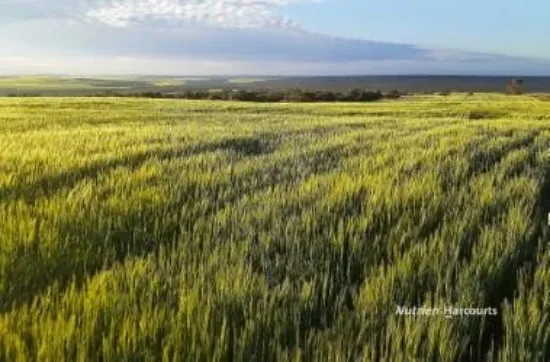 Lot 1 Marchagee Track, Boothendarra, WA 6521