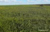 Lot 1 Marchagee Track, Boothendarra, WA 6521-Image
