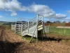 Lot 1 Upper Natone Road, Natone, Tas 7321-Image