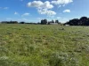 Lot 1 Upper Natone Road, Natone, Tas 7321-Image