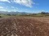 Lot 1 Upper Natone Road, Natone, Tas 7321-Image