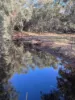 Lot 1 Wariin Road, Copley, WA 6562-Image