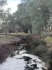 Lot 1 Wariin Road, Copley, WA 6562-Image