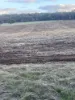 Lot 1 Wariin Road, Copley, WA 6562-Image