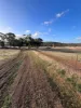 Lot 1 Wariin Road, Copley, WA 6562-Image