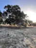 Lot 1 Wariin Road, Copley, WA 6562-Image
