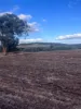 Lot 1 Wariin Road, Copley, WA 6562-Image