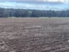 Lot 1 Wariin Road, Copley, WA 6562-Image