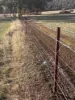 Lot 1 Wariin Road, Copley, WA 6562-Image