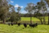 Lot 100 Yarri Road, Manjimup, WA 6258