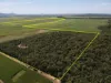 Lot 101 & 3 Lannercost Extension Road, Lannercost, Qld 4850-Image