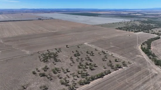 Lot 101 DP 1168983 Cheecum Road, Moree, NSW 2400